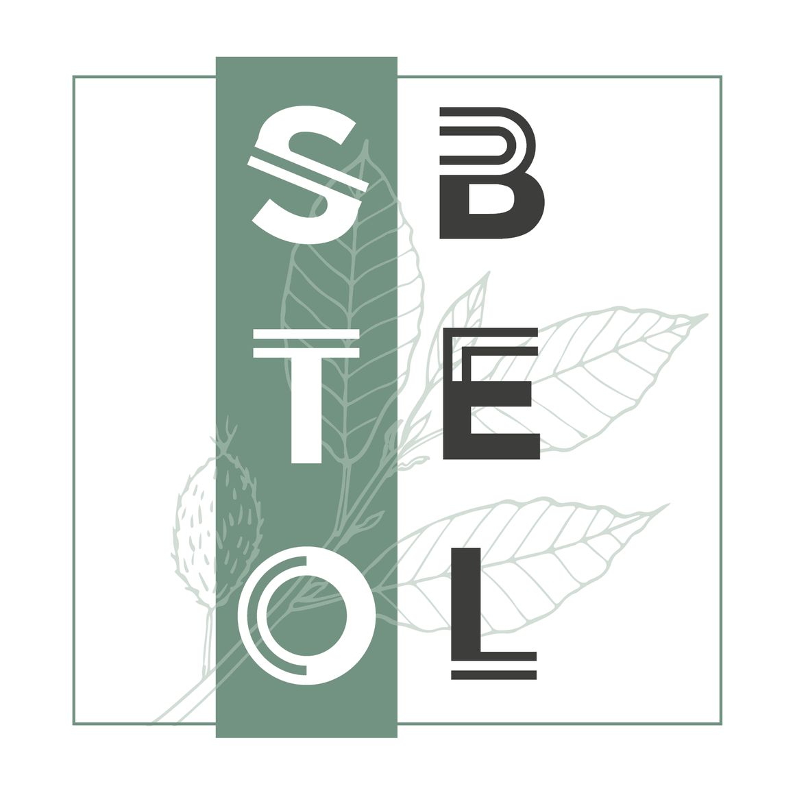 Stobel_Logo